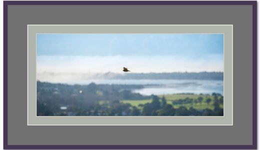 10-room for anything