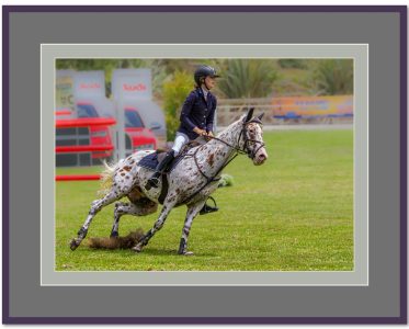 TER19horse jumping-9065
